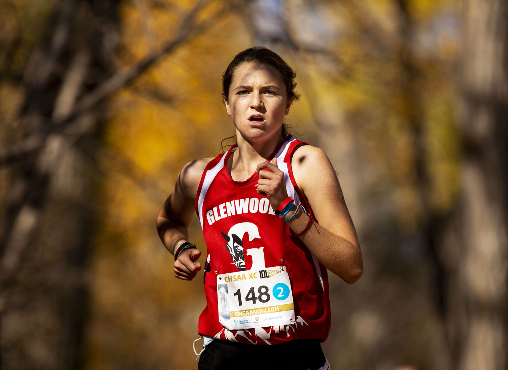 SophiaConnertonNevin-Glenwood 01.jpg